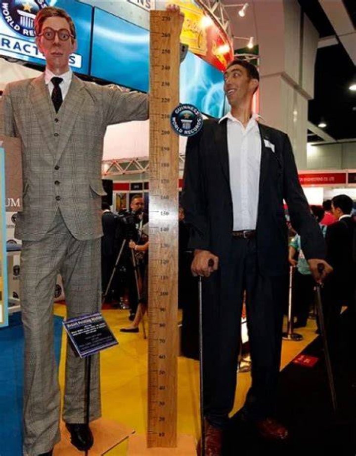 The Tallest Man in the World: A Fascinating Journey into Height Records and Human Potential
